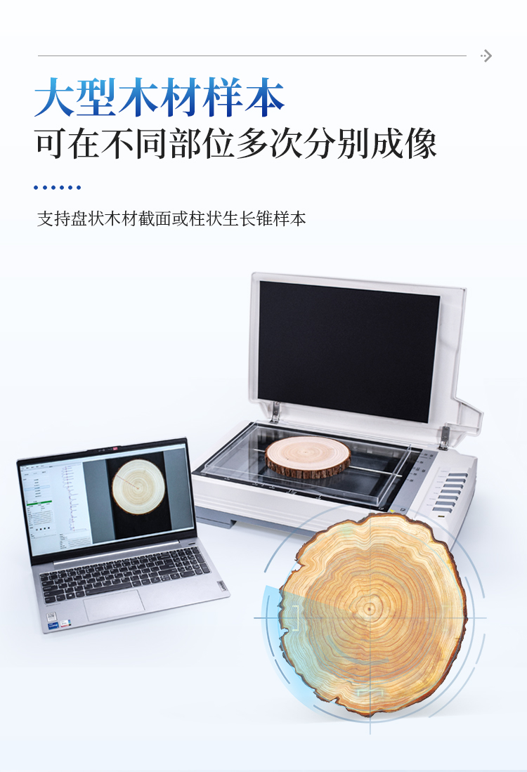 树木年轮分析仪