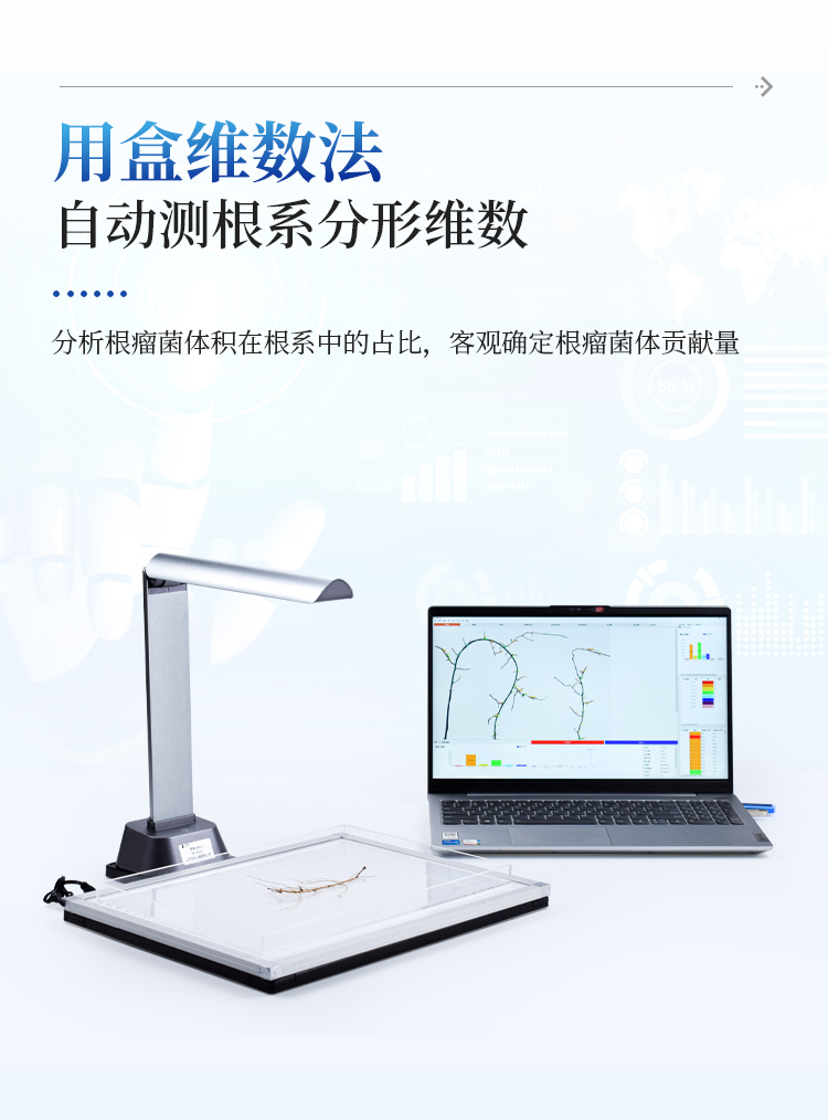 根系分析系统