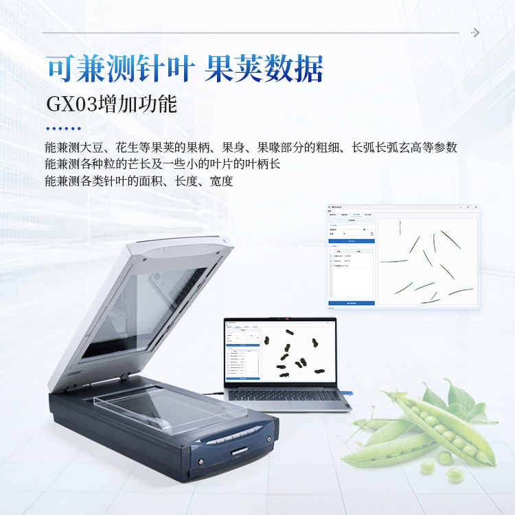 根系图像分析仪