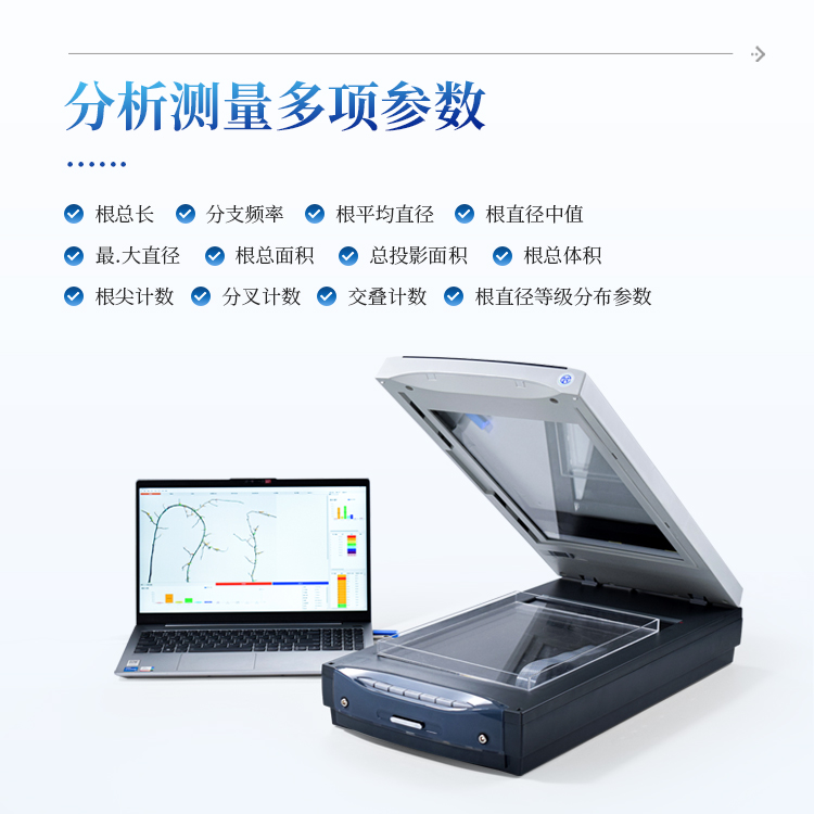 根系图像分析仪