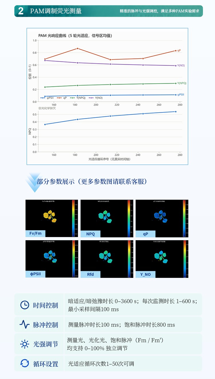 叶绿素荧光成像仪