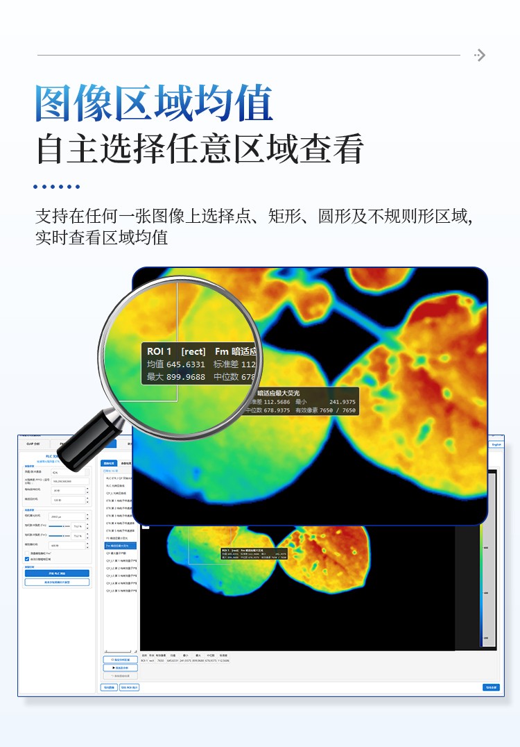 叶绿素荧光成像仪