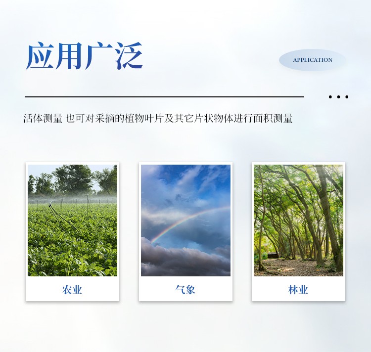 手持式叶面积仪 手持式叶面积仪