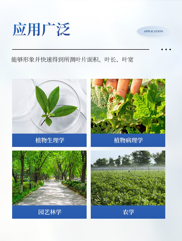 叶面积测量仪 叶面积测量仪