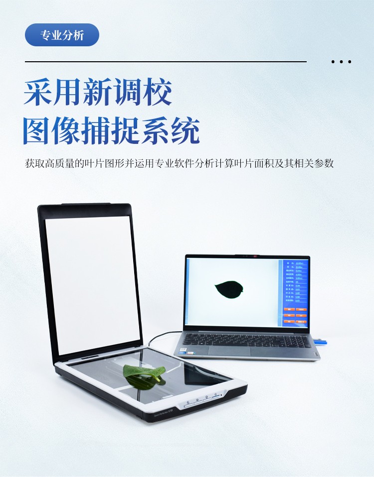 叶面积测量仪 叶面积测量仪