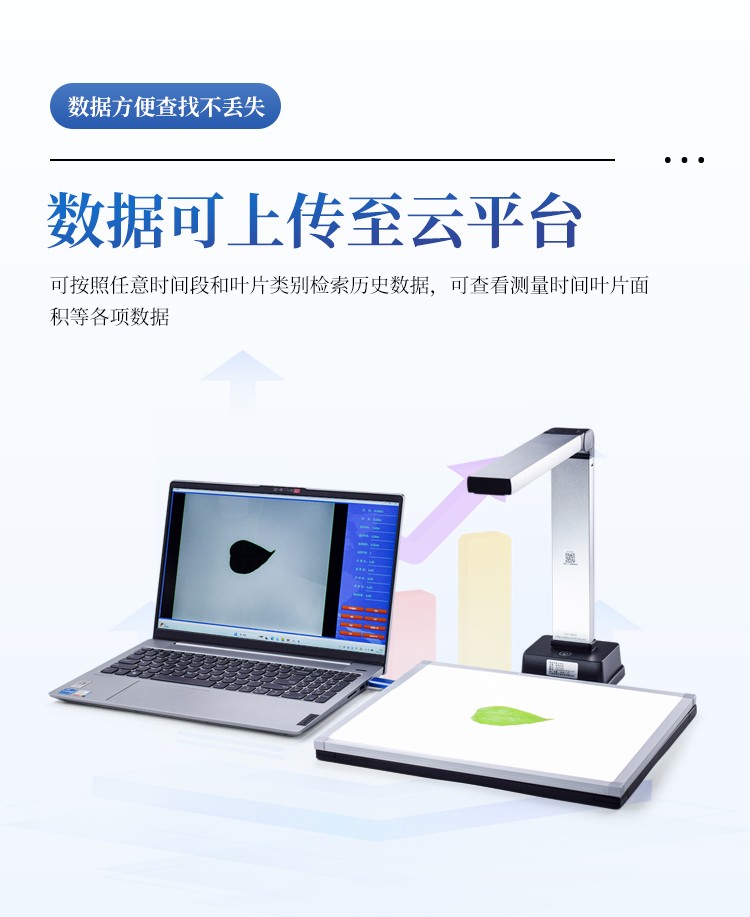 叶面积测量仪 叶面积测量仪
