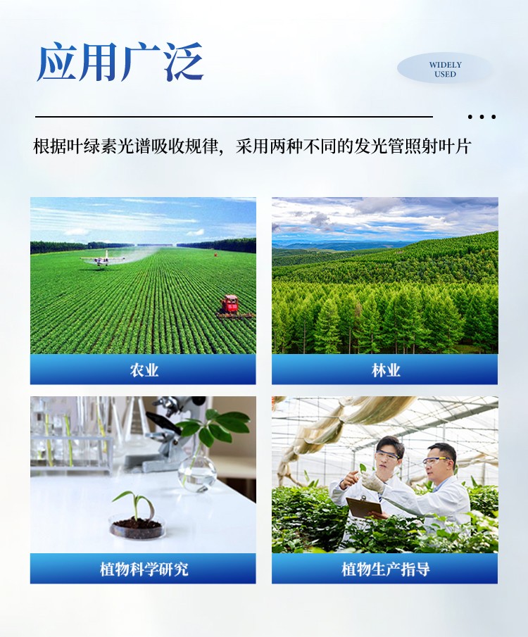 叶绿素仪