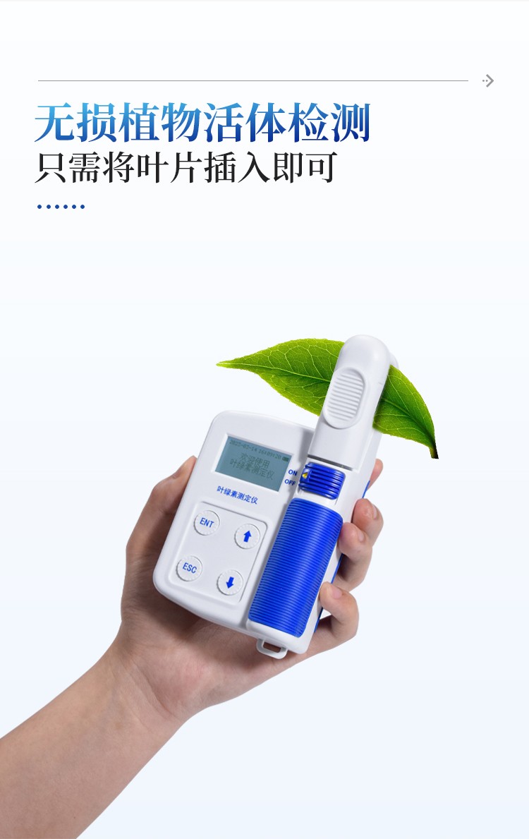 叶绿素仪